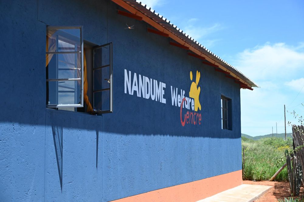 nandume-wp-ls 0003